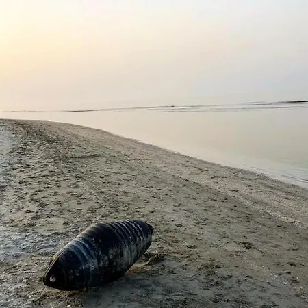 Negresco Hotel Riccione