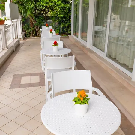Hotel Negresco 3*